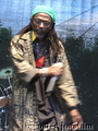 P1040329_komp.jpg