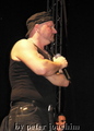P1040371_neu_komp.jpg