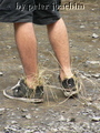 P1040416_komp.jpg