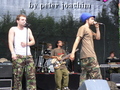 P1040446_komp.jpg