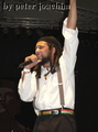 P1040503_neu_komp.jpg
