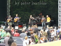 P1040509_komp.jpg
