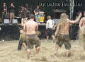 P1040547_komp.jpg