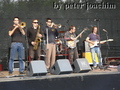 P1040548_komp.jpg