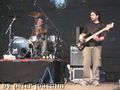 P1040610_komp.jpg
