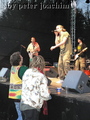 P1040611_komp.jpg