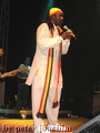 P1040624_komp.jpg