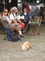 rasta_hund.jpg